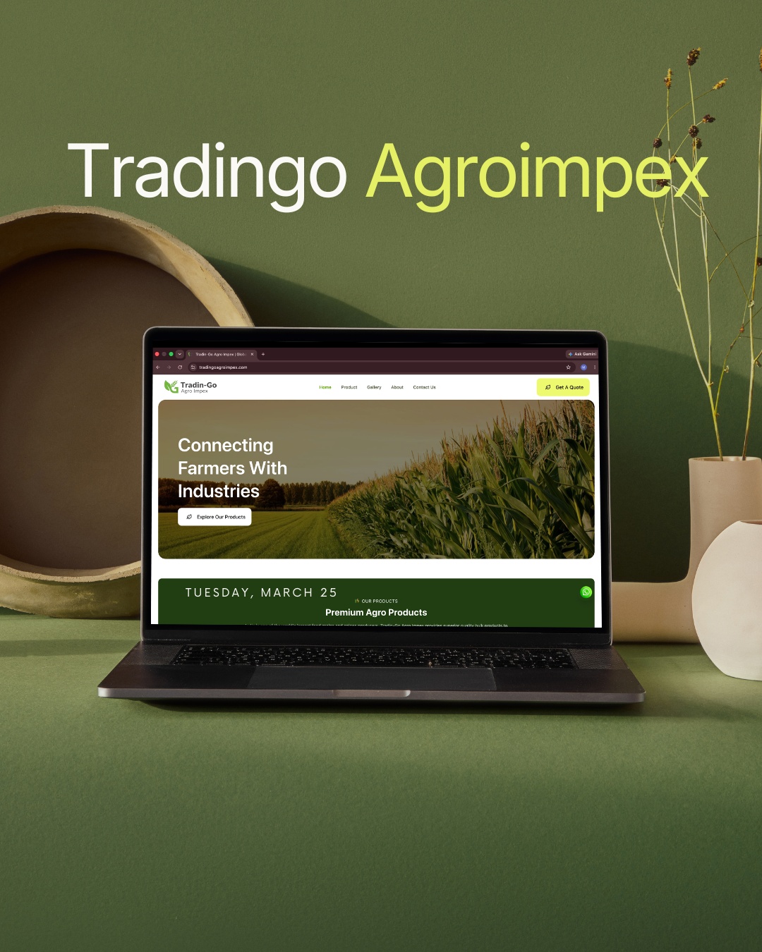Tradingo Agro Impex